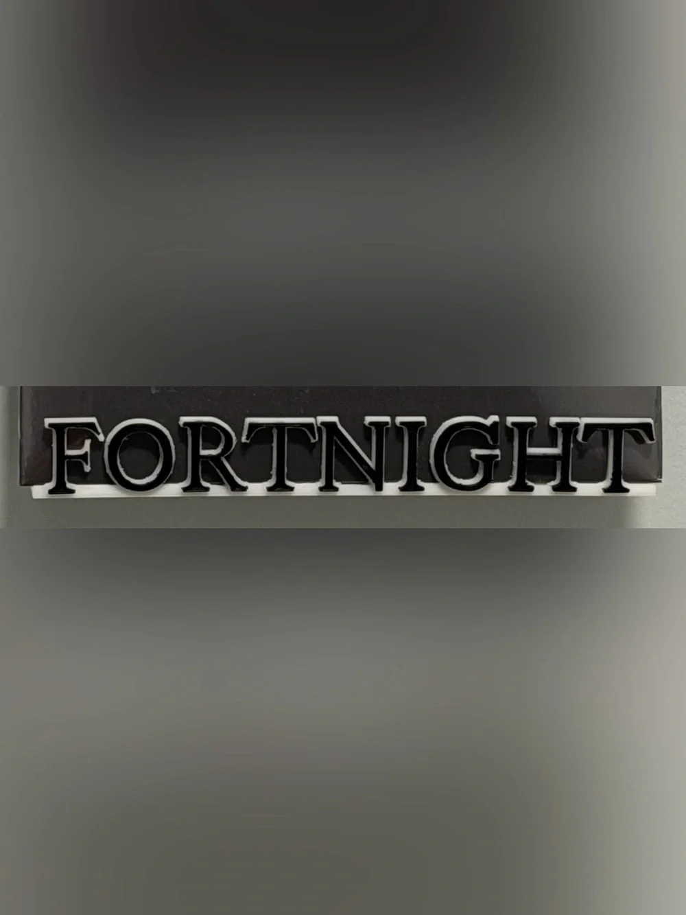 Fortnight white with a black inlay 7” vinyl holder